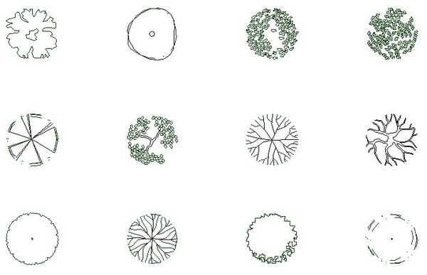 Tree-Deciduous_Collection_Vol-1
